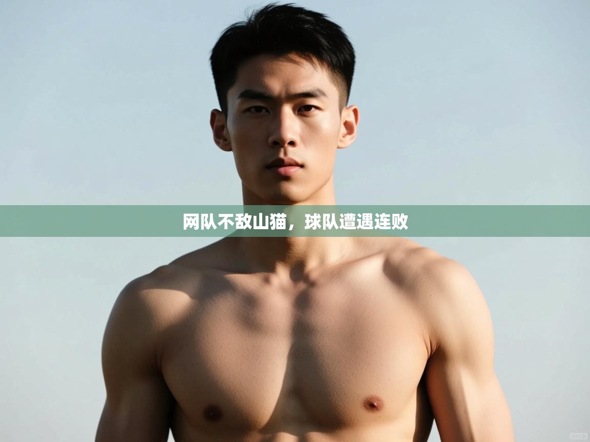 问鼎娱乐pg电子-网队不敌山猫，球队遭遇连败  第3张