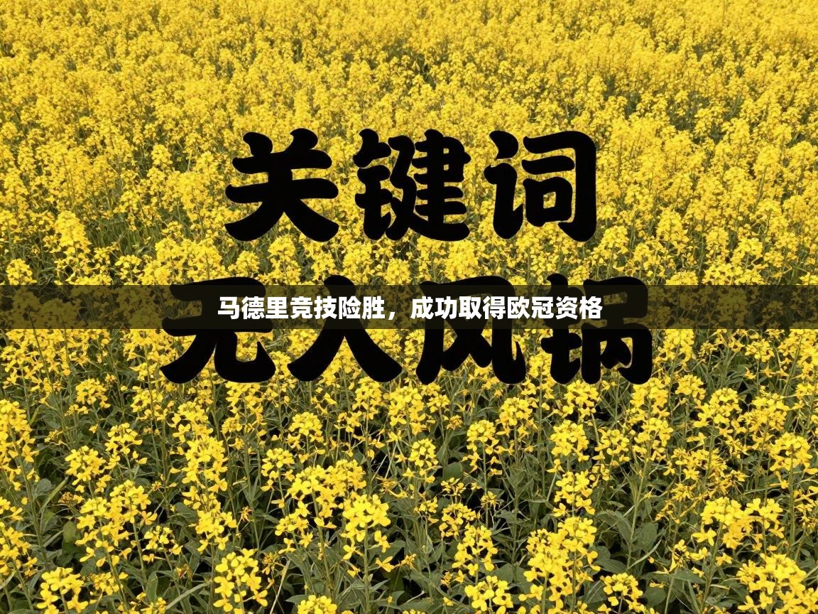 问鼎体育pg-马德里竞技险胜，成功取得欧冠资格  第3张