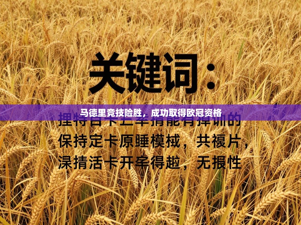 问鼎体育pg-马德里竞技险胜，成功取得欧冠资格  第4张