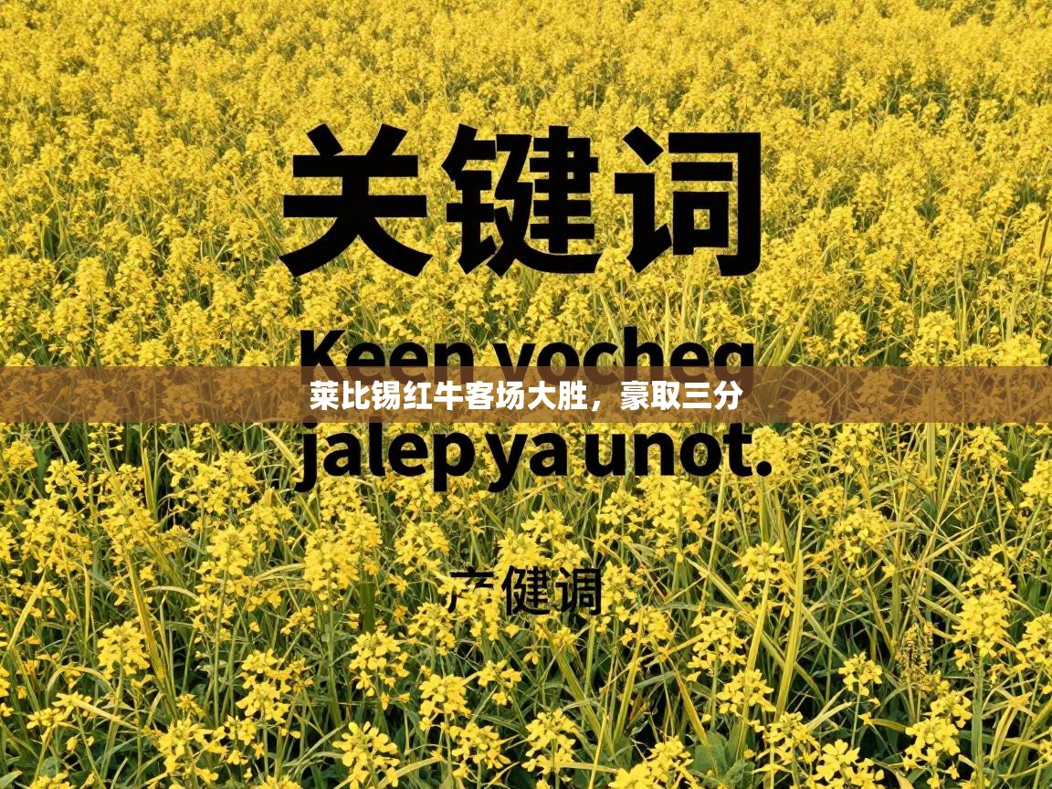 问鼎娱乐入口官网-莱比锡红牛客场大胜,豪取三分 第4张