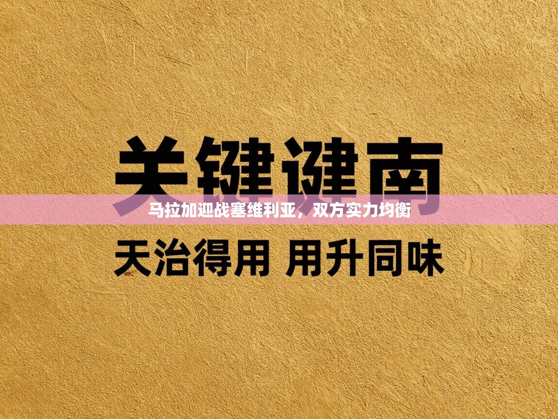 问鼎体育娱乐电子网页版入口-马拉加迎战塞维利亚,双方实力均衡 第2张