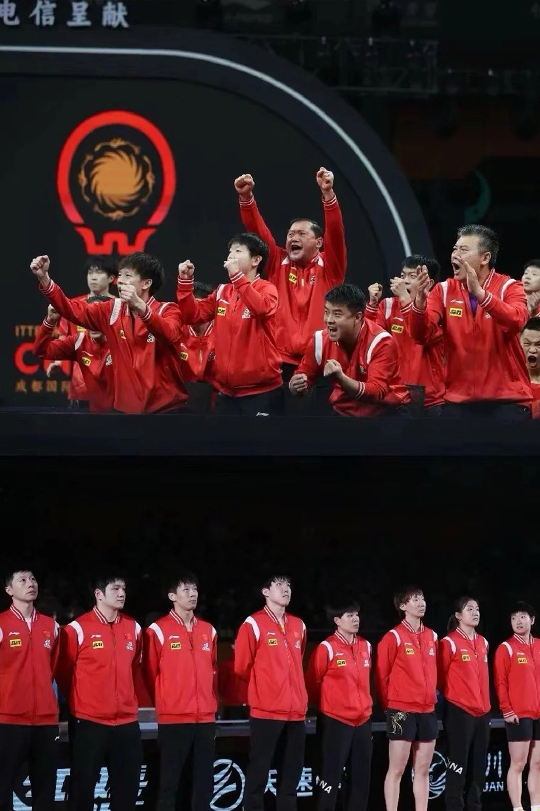 国家代表团运动员在比赛中大放异彩